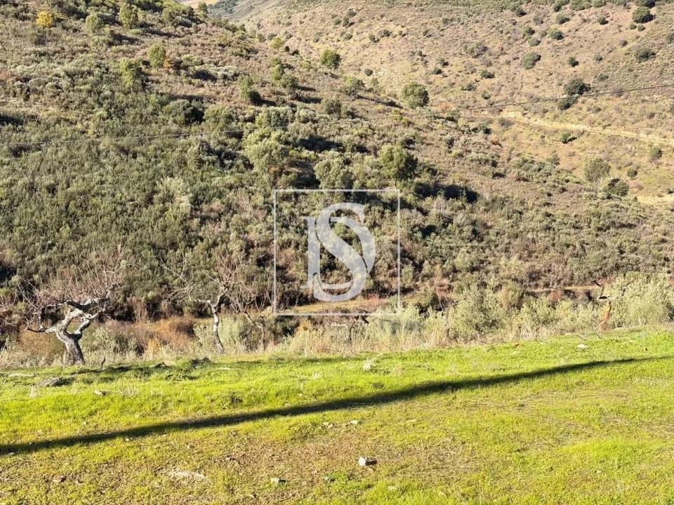 Quinta para Venda em Ligares Foto 4