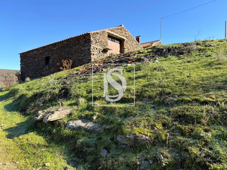 Quinta para Venda em Ligares Foto 22