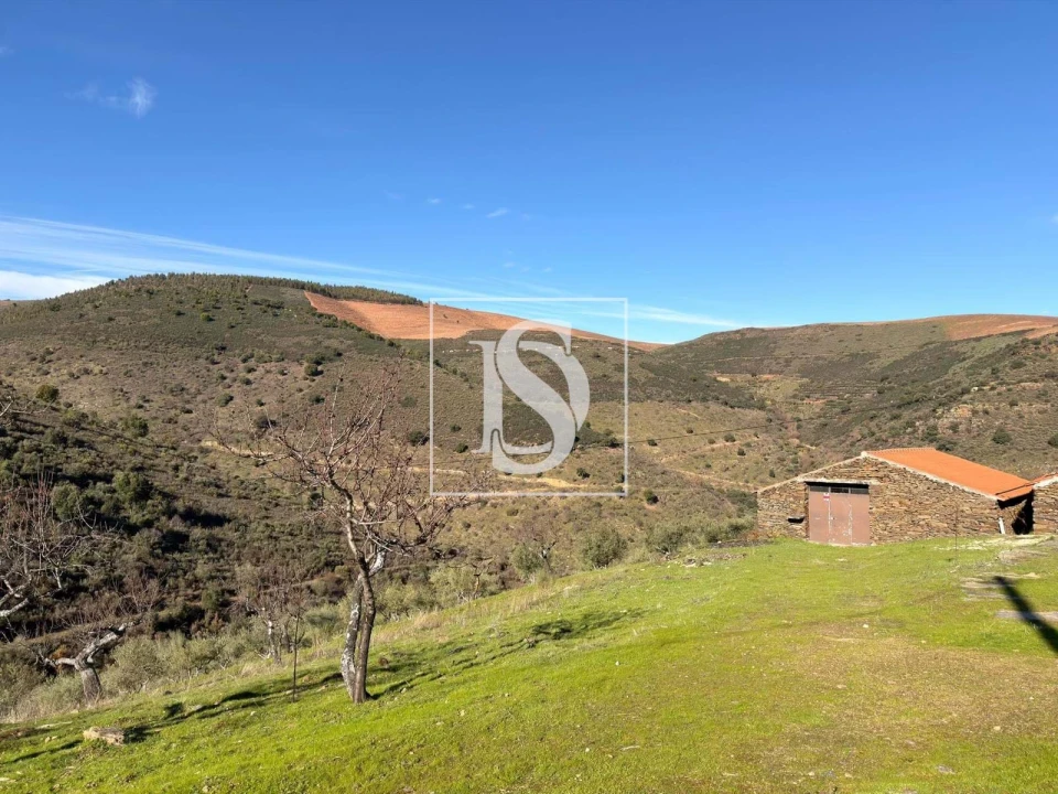 Quinta para Venda em Ligares Foto 26