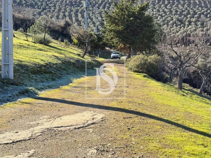 Quinta para Venda em Ligares Foto 8