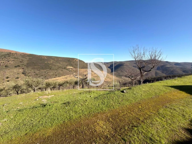 Quinta para Venda em Ligares Foto 15