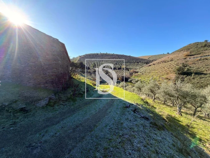 Quinta para Venda em Ligares Foto 17