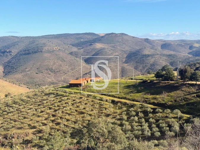 Quinta para Venda em Ligares Foto 32