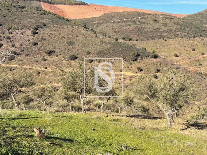 Quinta para Venda em Ligares Foto 29