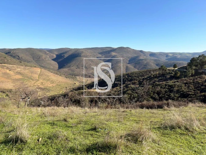 Quinta para Venda em Ligares Foto 9