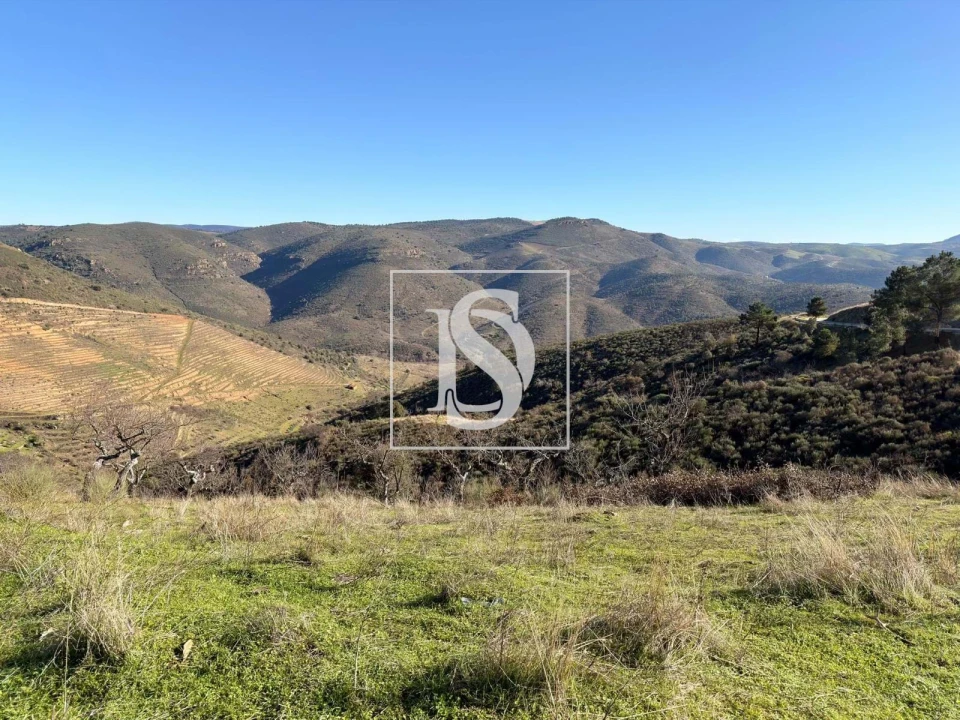 Quinta para Venda em Ligares Foto 9