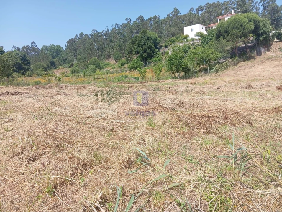 Terreno para Venda em Salir de Matos Foto 3