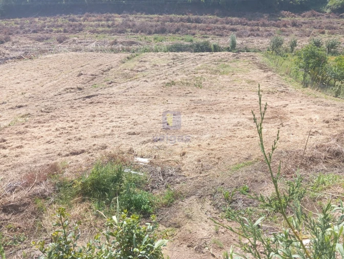 Terreno para Venda em Salir de Matos Foto 6