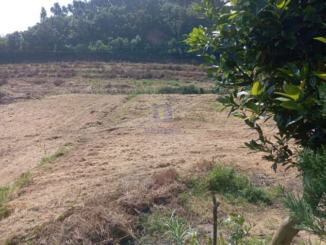 Terreno para Venda em Salir de Matos Foto 5