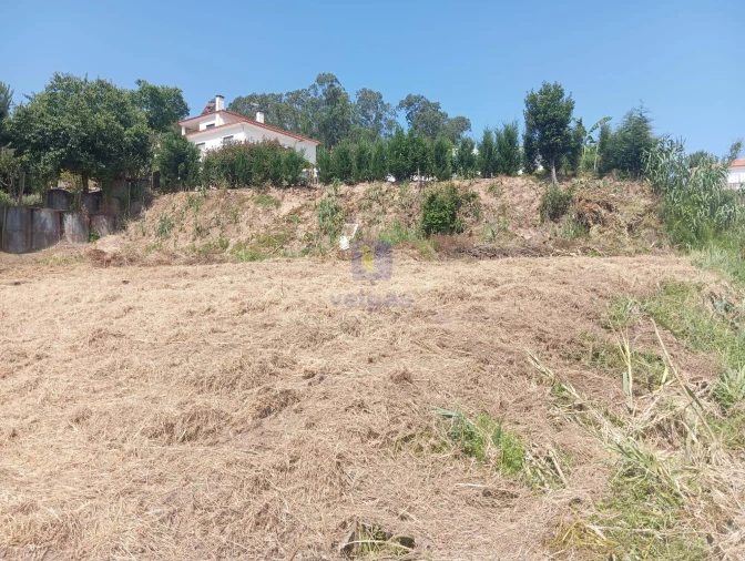 Terreno para Venda em Salir de Matos Foto 4