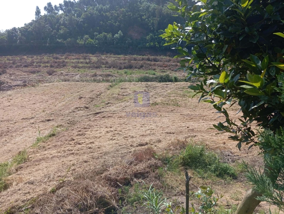 Terreno para Venda em Salir de Matos Foto 5