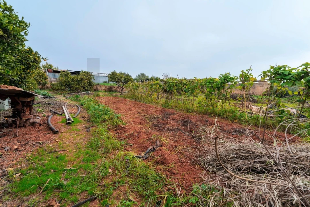 Moradia T2 para Venda em Cachopo Foto 47