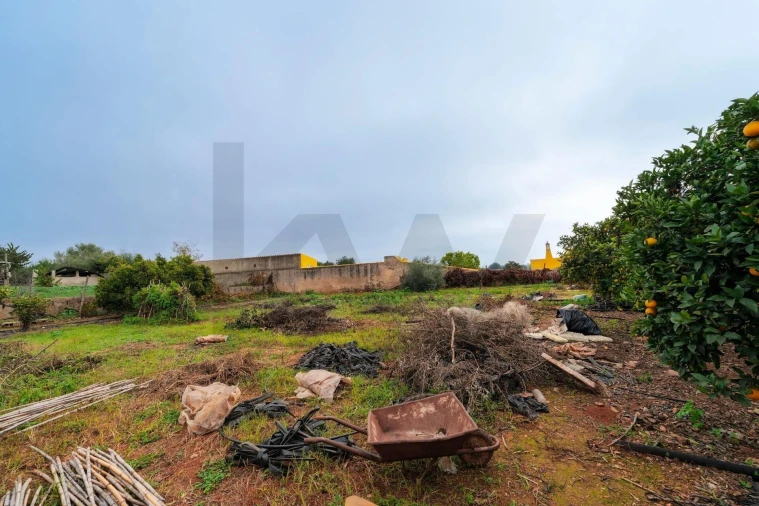 Moradia T2 para Venda em Cachopo Foto 45