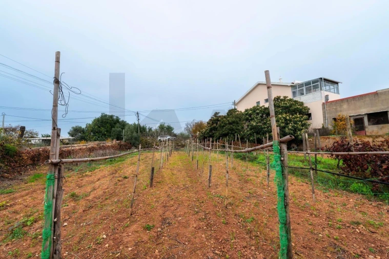 Moradia T2 para Venda em Cachopo Foto 50