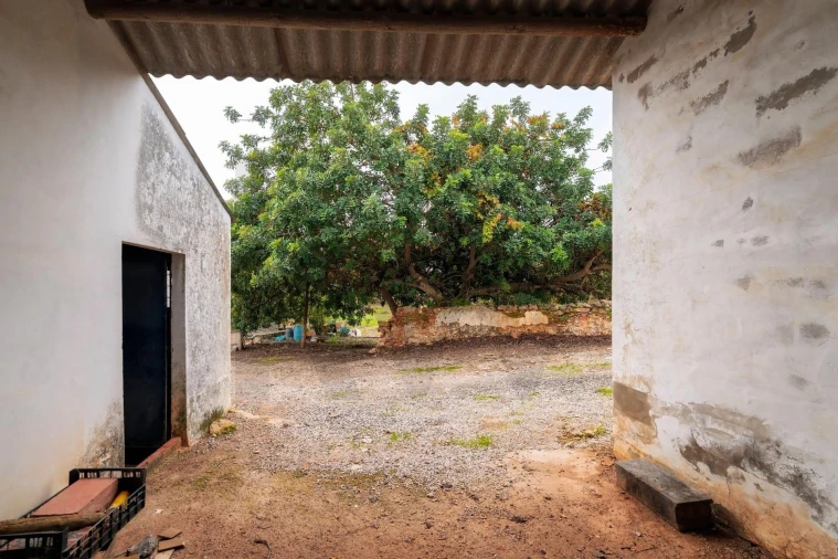 Moradia T2 para Venda em Cachopo Foto 40