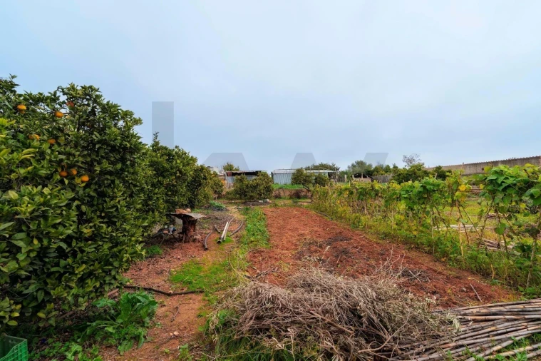 Moradia T2 para Venda em Cachopo Foto 43