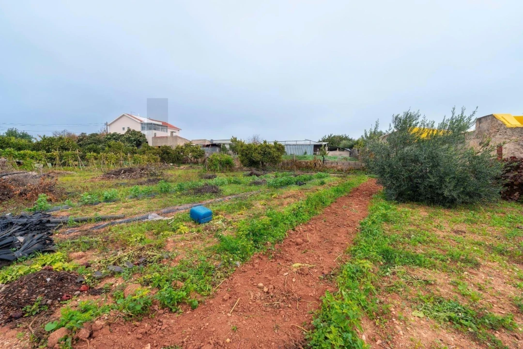 Moradia T2 para Venda em Cachopo Foto 58