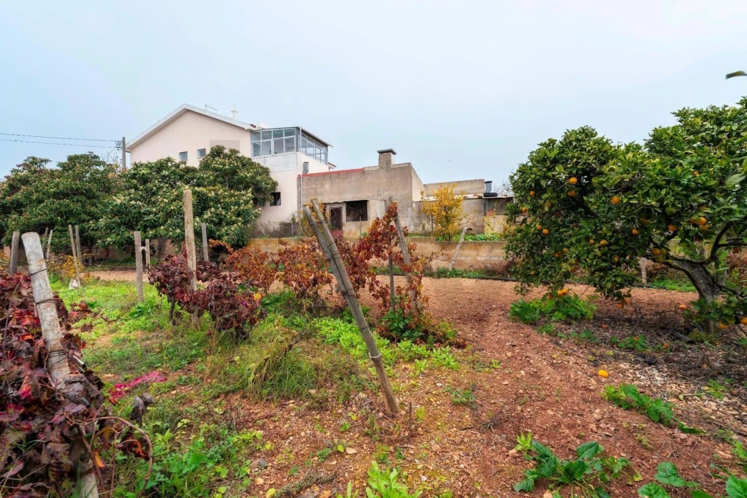 Moradia T2 para Venda em Cachopo Foto 52