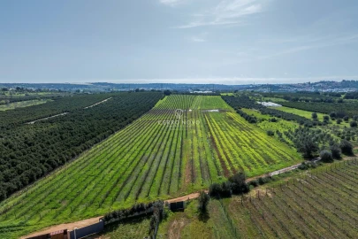 Moradia T3 para Venda em Silves