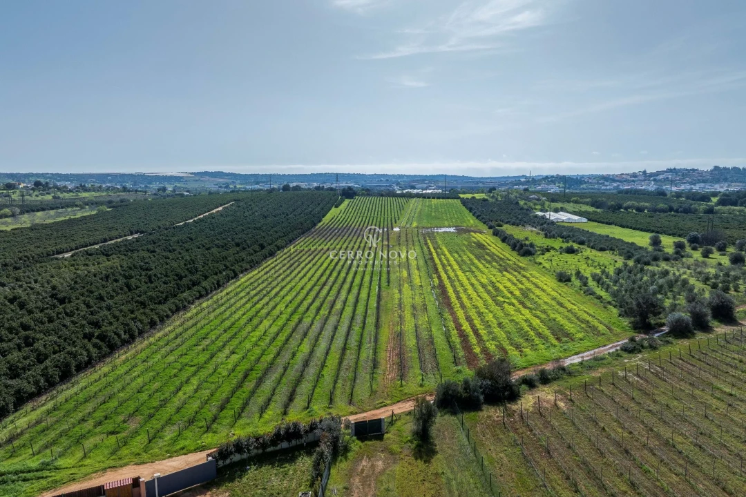 Moradia T3 para Venda em Silves Foto 4