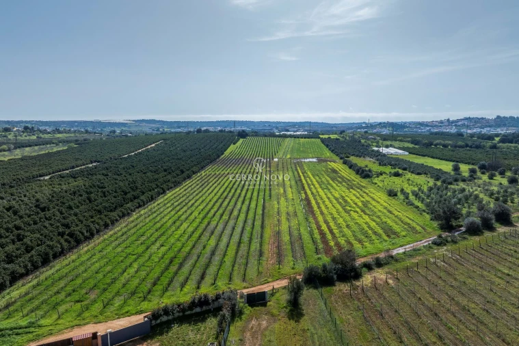 Moradia T3 para Venda em Silves Foto 4