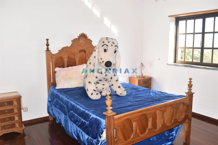 Moradia T8 para Venda em Figueiró dos Vinhos e Bairradas Foto 5