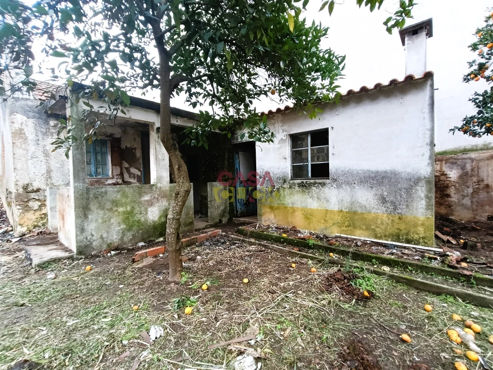 Moradia T2 para Venda em São João Baptista Foto 24