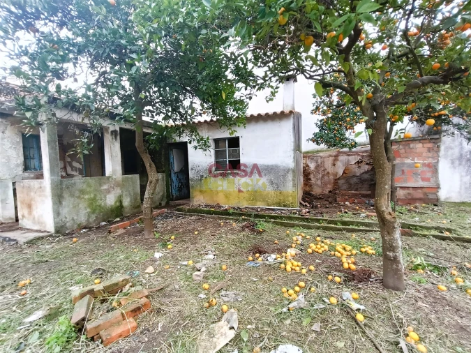 Moradia T2 para Venda em São João Baptista Foto 2