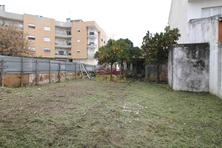 Moradia T2 para Venda em São João Baptista Foto 38