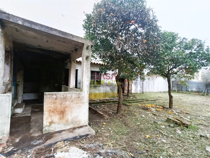 Moradia T2 para Venda em São João Baptista Foto 15