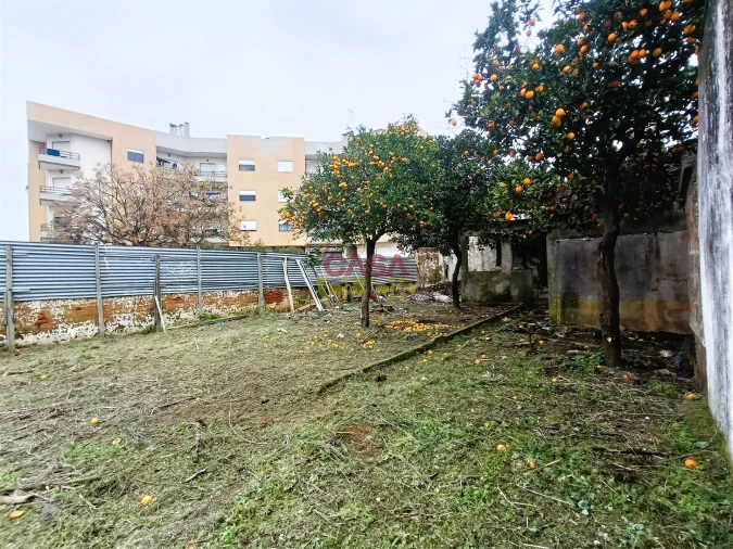 Moradia T2 para Venda em São João Baptista Foto 20