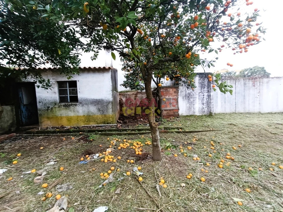 Moradia T2 para Venda em São João Baptista Foto 5