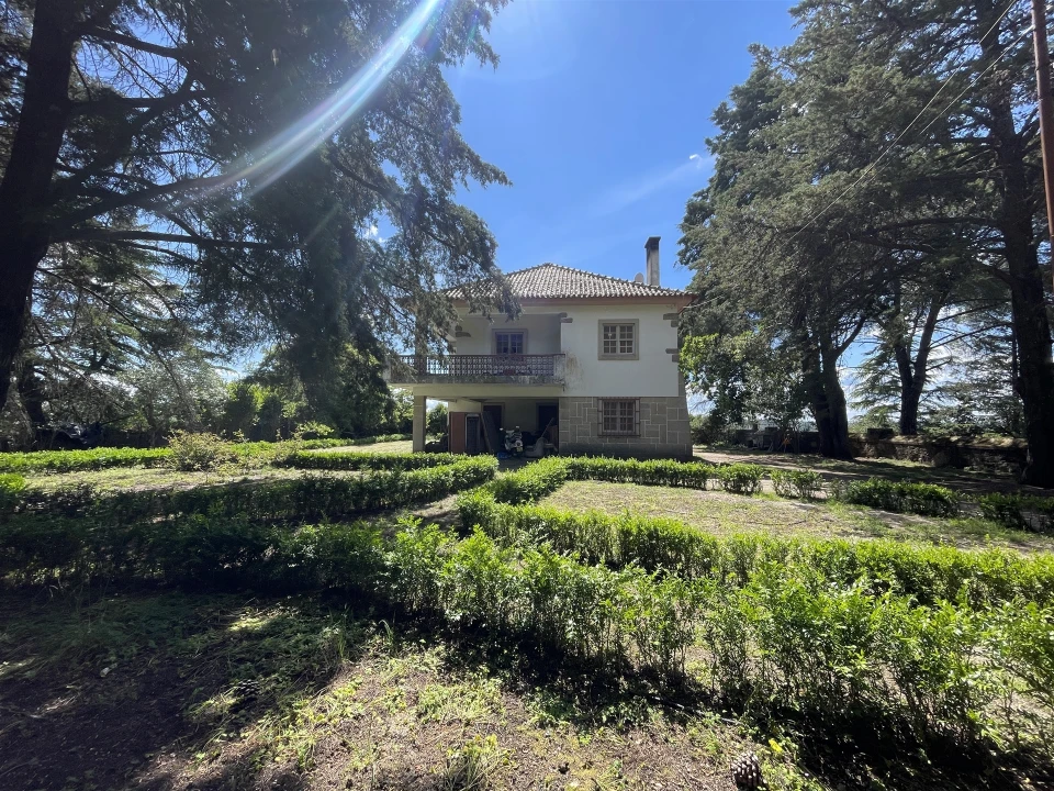 Quinta T10 para Venda em Castelo Branco Foto 9