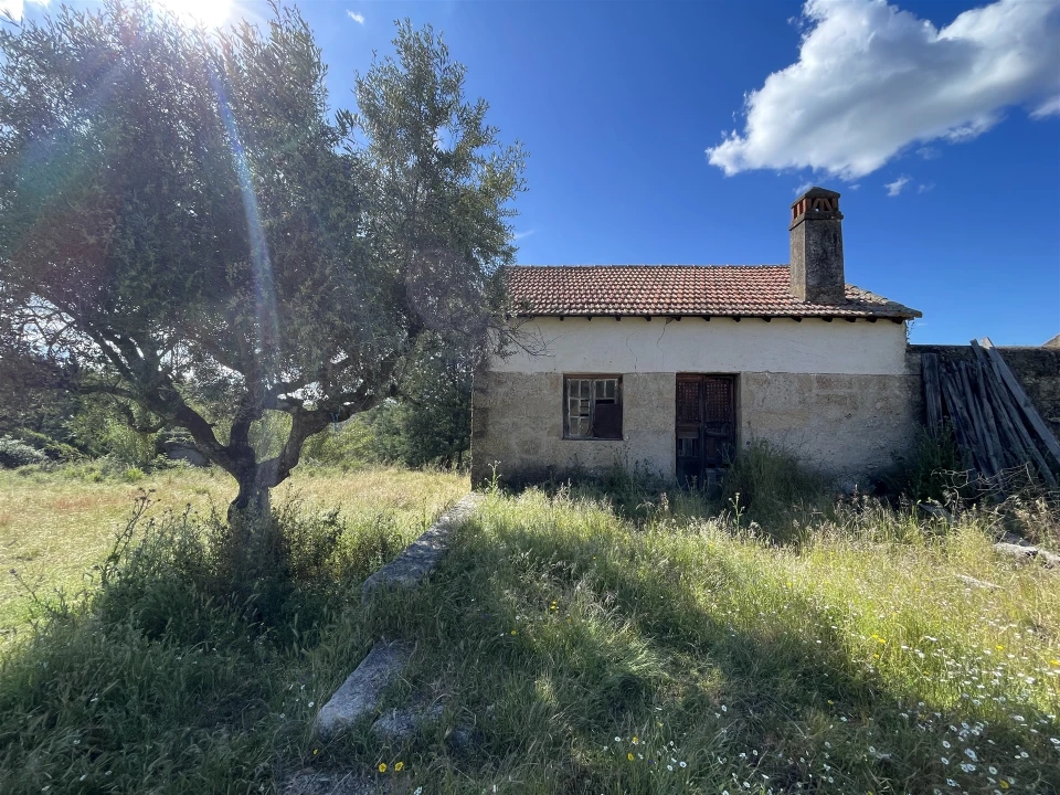 Quinta T10 para Venda em Castelo Branco Foto 45