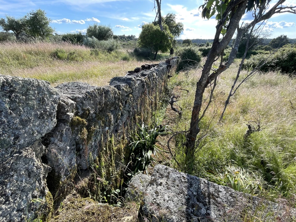 Quinta T10 para Venda em Castelo Branco Foto 69