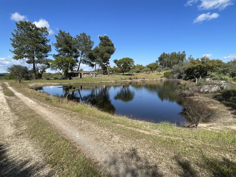 Quinta T10 para Venda em Castelo Branco Foto 37