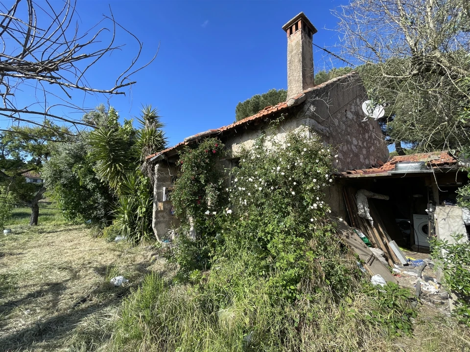 Quinta T10 para Venda em Castelo Branco Foto 56