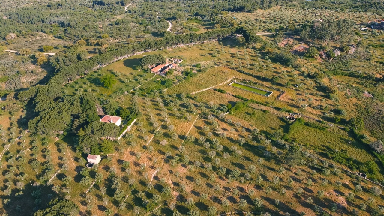 Quinta T10 para Venda em Castelo Branco Foto 6