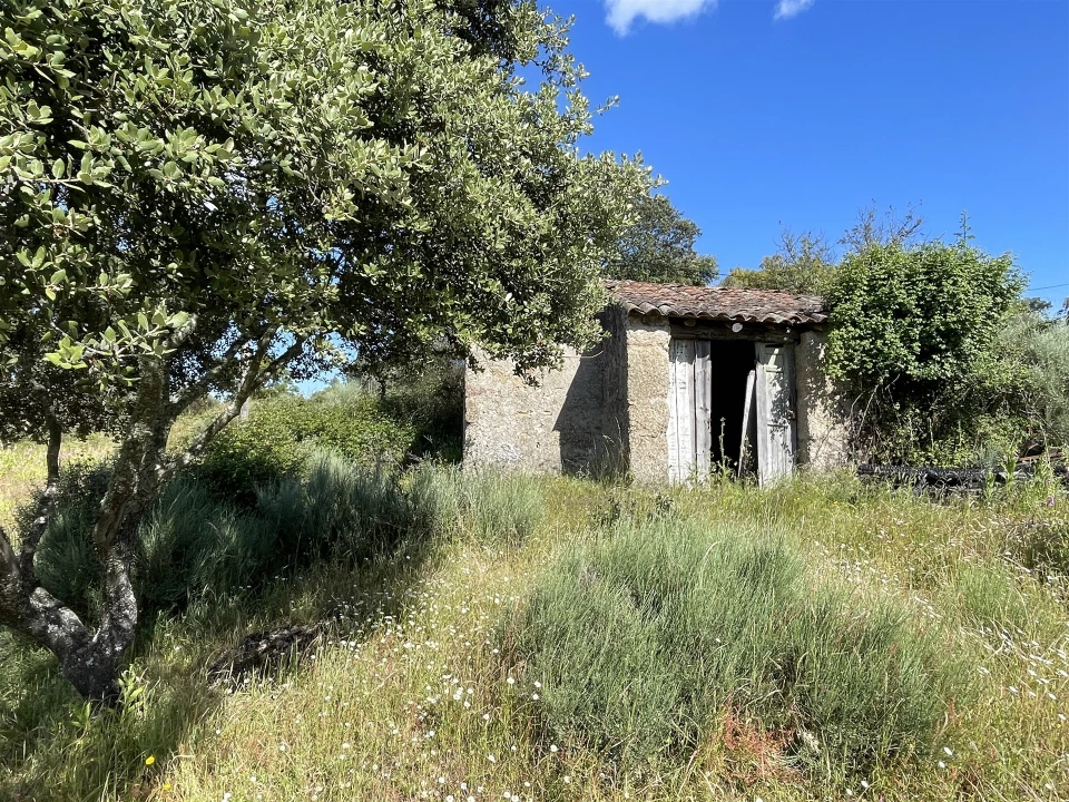 Quinta T10 para Venda em Castelo Branco Foto 47