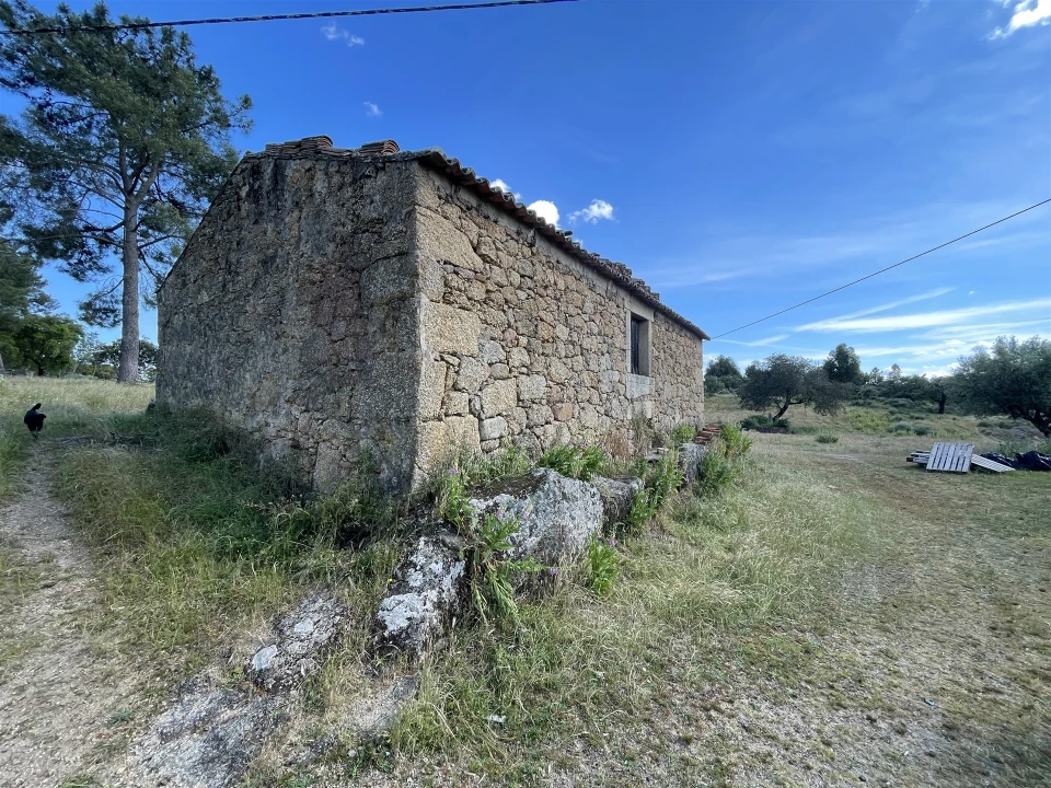 Quinta T10 para Venda em Castelo Branco Foto 39
