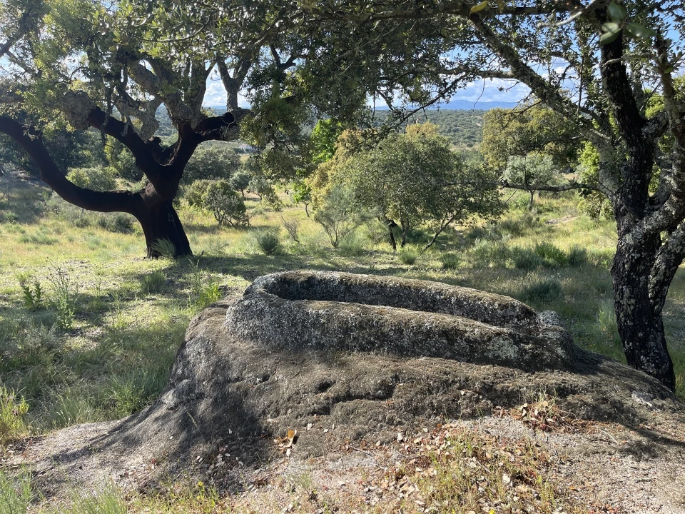 Quinta T10 para Venda em Castelo Branco Foto 52