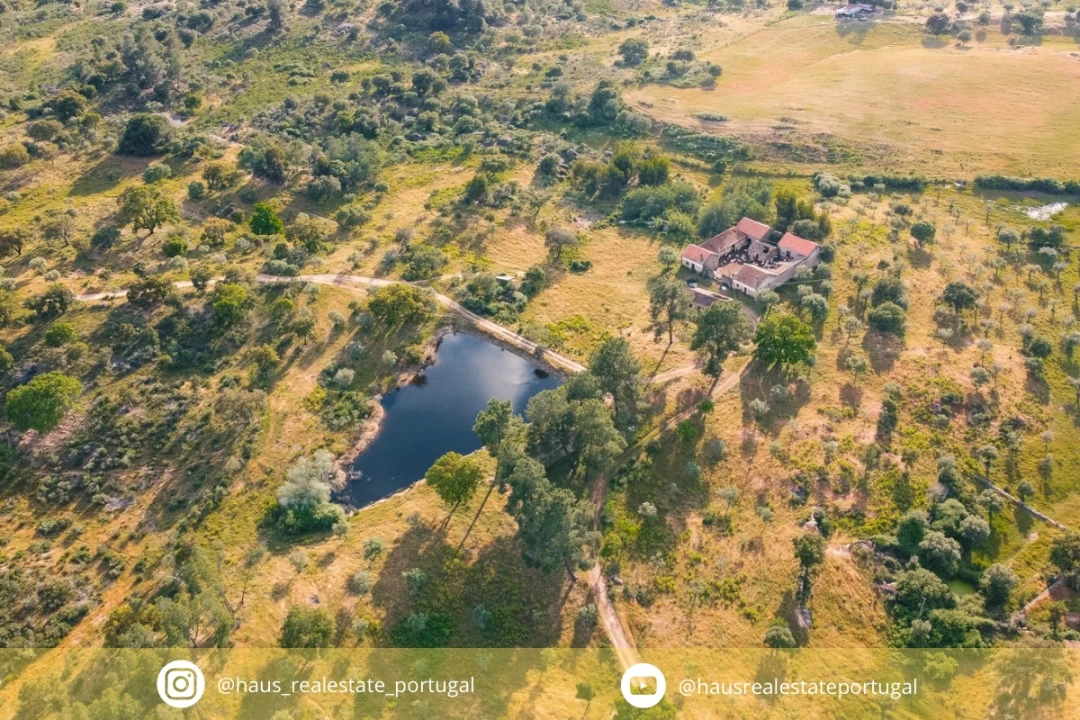 Quinta T10 para Venda em Castelo Branco Foto 1