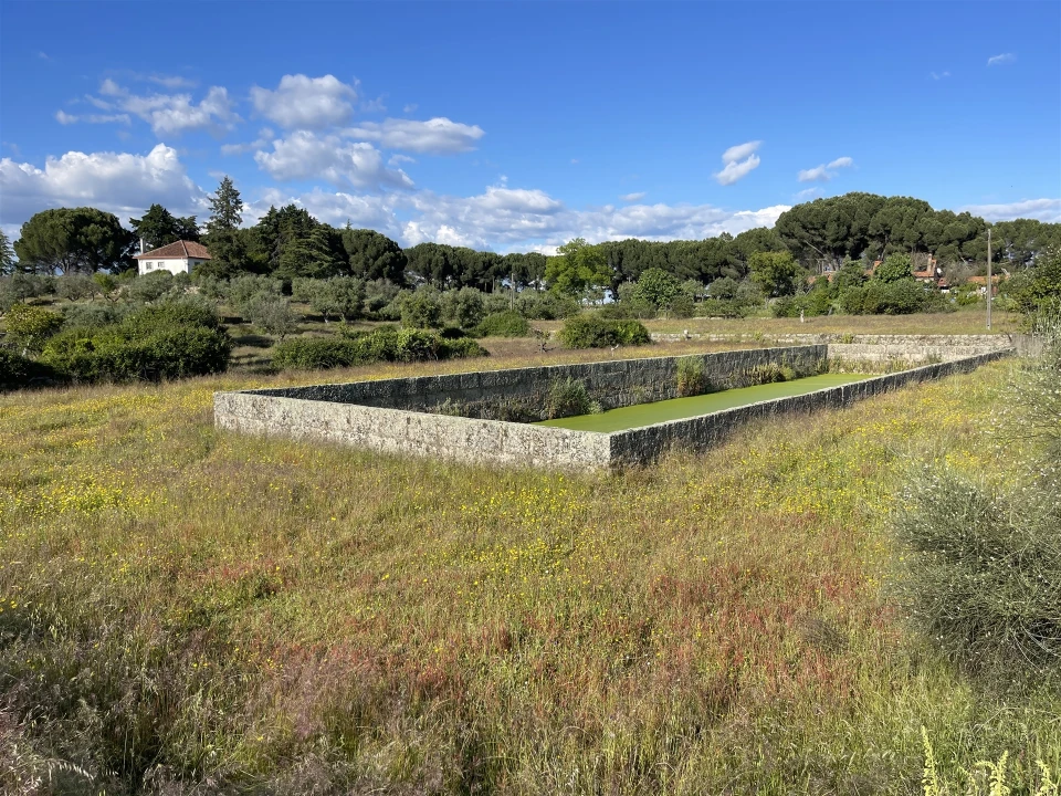Quinta T10 para Venda em Castelo Branco Foto 65