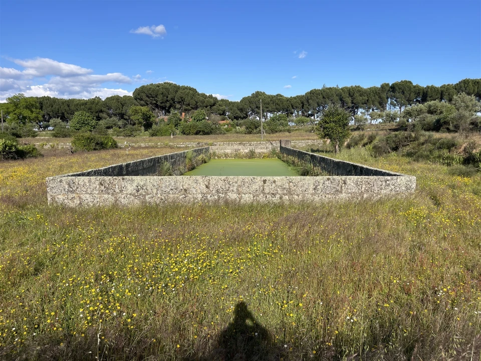 Quinta T10 para Venda em Castelo Branco Foto 66