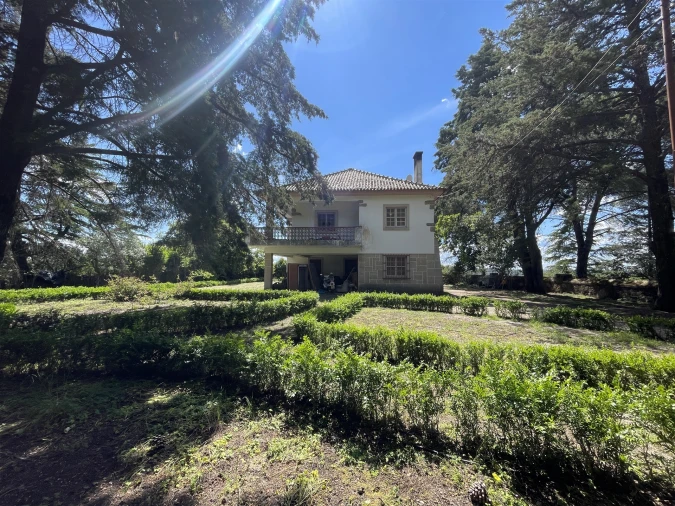 Quinta T10 para Venda em Castelo Branco Foto 9