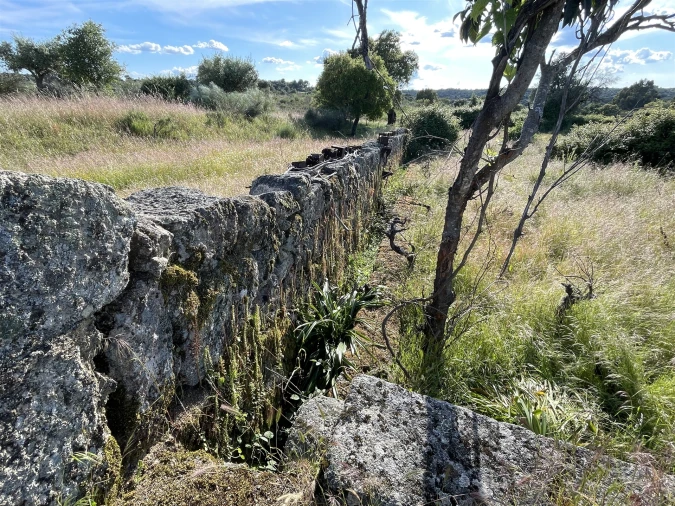 Quinta T10 para Venda em Castelo Branco Foto 69