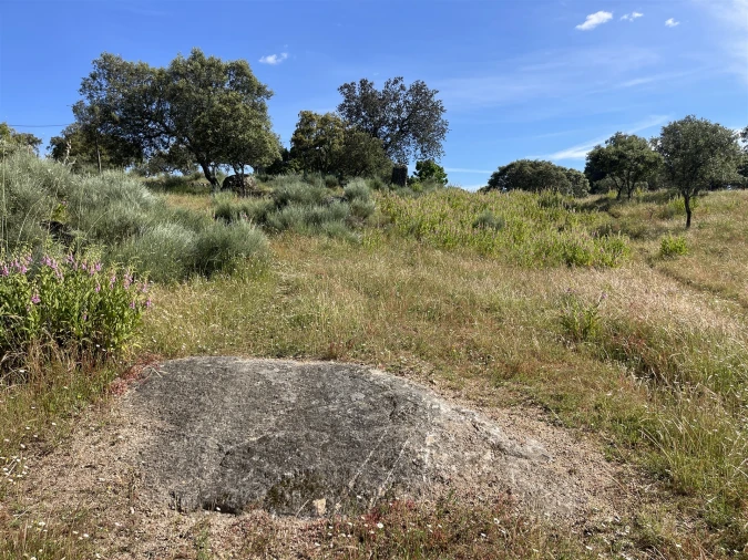 Quinta T10 para Venda em Castelo Branco Foto 48