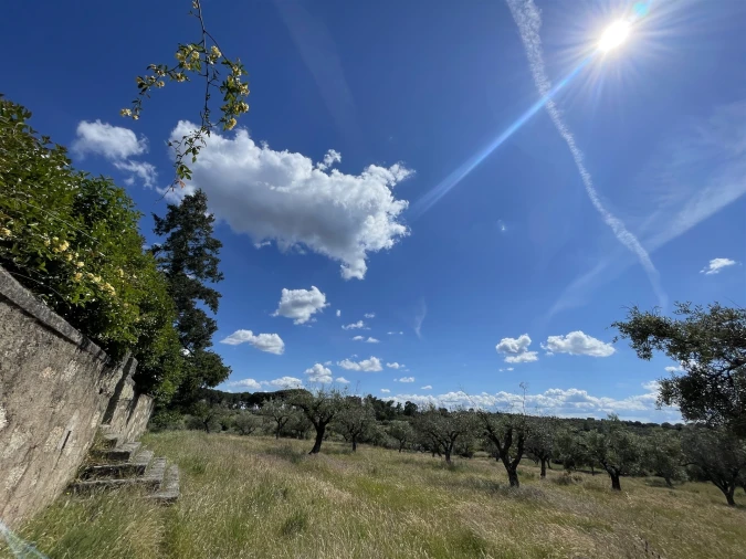 Quinta T10 para Venda em Castelo Branco Foto 33