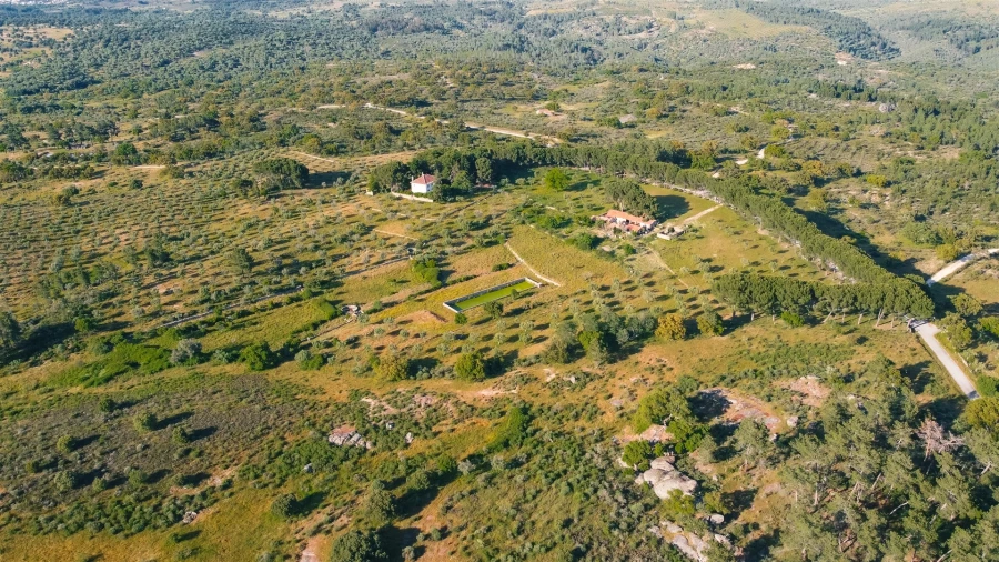Quinta T10 para Venda em Castelo Branco Foto 2