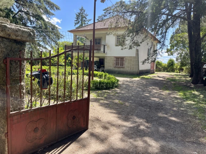 Quinta T10 para Venda em Castelo Branco Foto 8